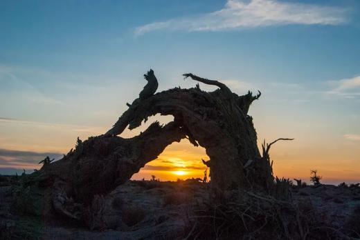 哈密大海道无人区（沙漠雅丹+星空）、伊吾古老胡杨林金秋8天摄影团 商品图3