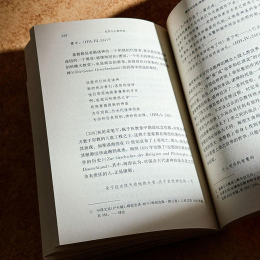 尼采与古典传统 西方传统经典与解释 尼采注疏集 哲学研究 商品图13