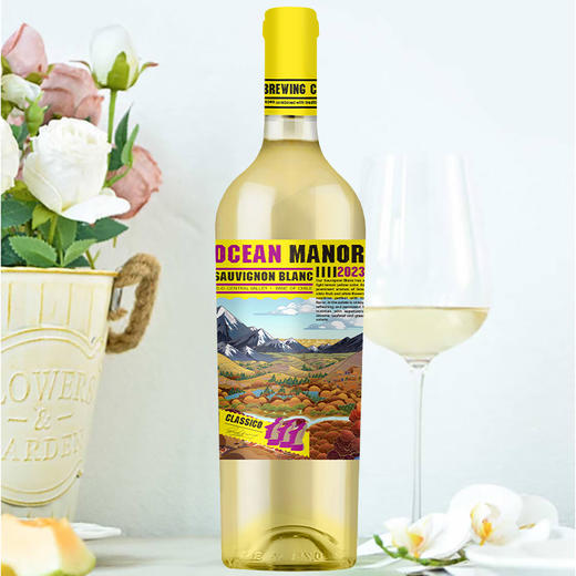 【原瓶进口超值6瓶装】智利欧绅庄园®山谷长相思干白葡萄酒750ml*6瓶 商品图0