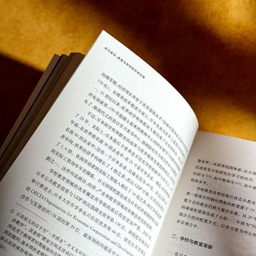 学习革命 教室与学校的未来形象 佐藤学 重新定义学习 商品图10