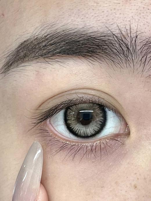 huohuocon 半年抛  枯叶豆娘  直径14.5mm着色13.9mm 商品图3