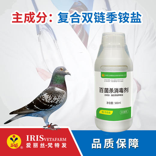 【爱丽丝】百菌杀消毒剂500ml/5L 商品图0