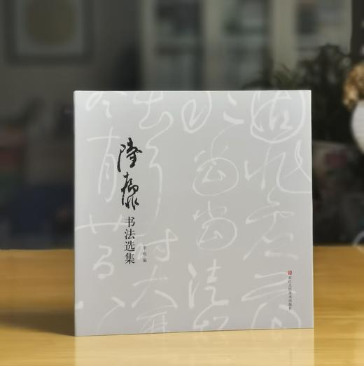 《陆抑非书法选集》，软精装，12开，陆抑非著，李鸣编，浙江人民美术出版社2015年一版一印，119页，定价160，售价46元。 商品图0