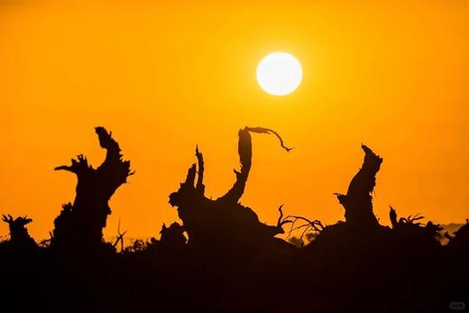 哈密大海道无人区（沙漠雅丹+星空）、伊吾古老胡杨林金秋8天摄影团 商品图8