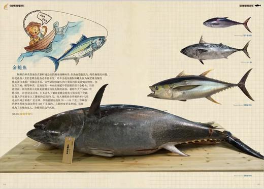 《餐桌上的水产图鉴》菜市场美食 生态图鉴 海鱼海鲜河鲜 周卓诚张继灵张辰亮推荐  海峡书局【官方正版 48小时发货】 商品图3
