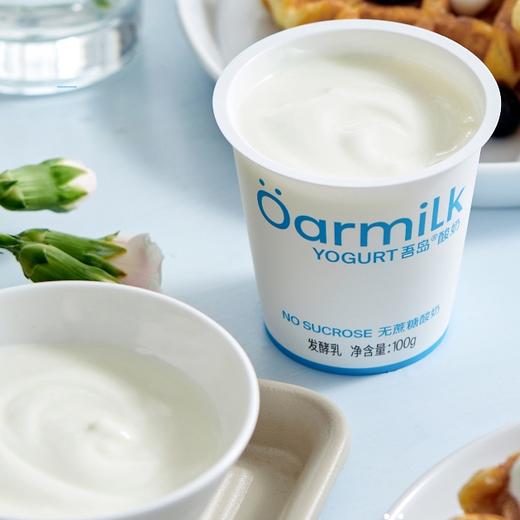 【分仓直发包邮】吾岛希腊酸奶经典组合装12杯（无蔗糖酸奶100g*6杯+低糖酸奶100g*6杯） 商品图3