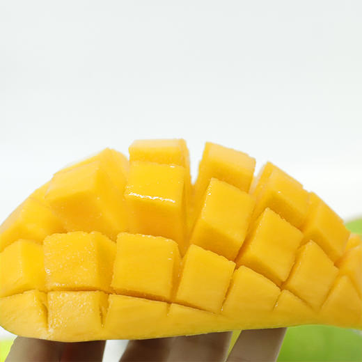 【海南好物】金煌芒 4.5斤/8斤 商品图3