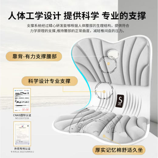 思菲其护腰坐垫 人气灰【160斤以内】 超强支撑-舒适护腰 YC 商品图2