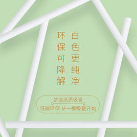 梦庭 一次性吸管独立包装 儿童纸吸管食品级可降解吸管 200只7893