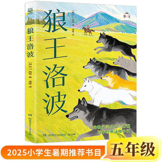 2025暑假百班千人推荐五年级暑期推荐书目逆袭男孩万物皆美童话边城狼王洛波名家笔下的老北京 商品图8