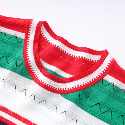 「高货wl」全新升级【铂金会员220/天猫299/差价79】(05204)洛诗琳撞色条纹T恤2025夏季立体波浪纹超细兰精天丝上衣 商品图2