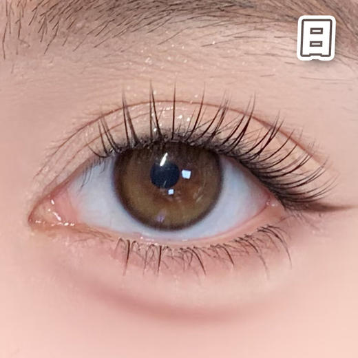 #CD20 蛋黄仔 棕【10片装】国产精品 / 14.2mm日抛 商品图1