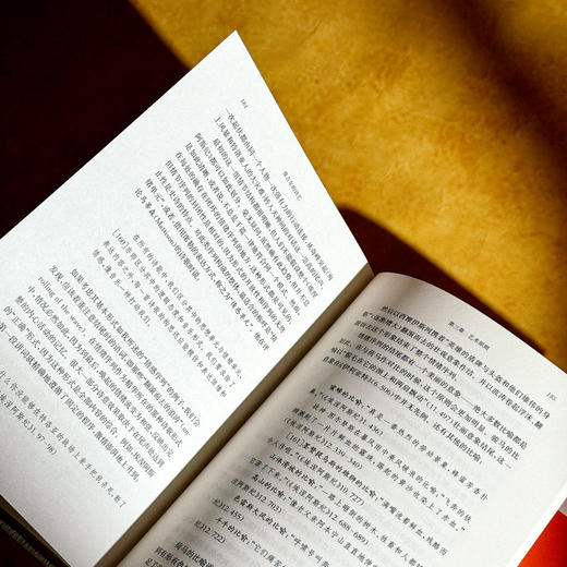 维吉尔的诗艺 《埃涅阿斯纪》中的比喻与象征 经典与解释 古今丛编 商品图13