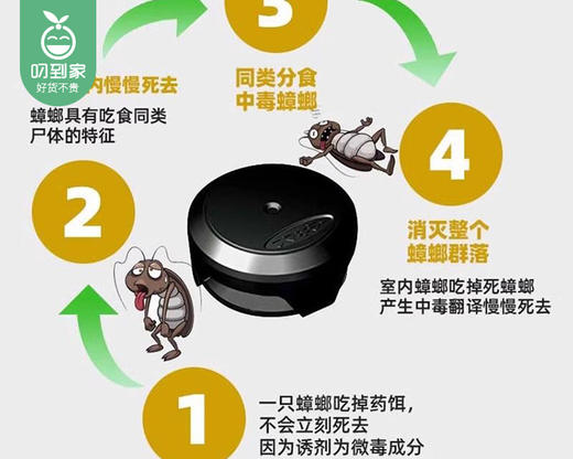 【预售-4月20日配送】日本FUMAKILLA福马蟑螂勇士一网打尽Pro（12枚/盒） 商品图1