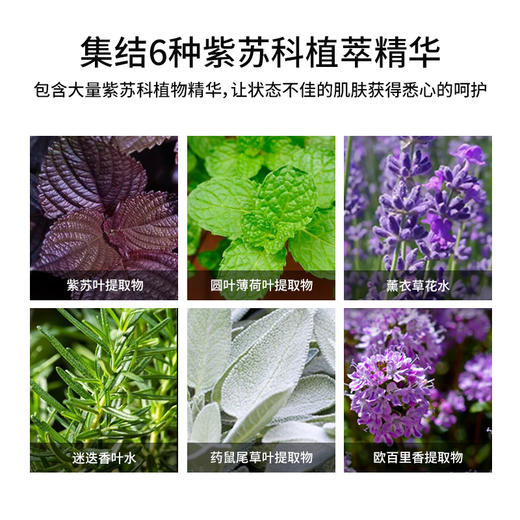 黛珂紫苏精华水300ml 深层保湿修复屏障 商品图3