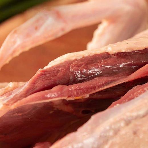 【康在此】地理标志产品 | 洪湖绿头老野鸭 无膻味 久炖肉不散 紧实有嚼劲 四季温补 严格检疫可追溯 商品图5