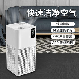 【诺比克智能台式家用除甲醛机】办公室除烟尘雾霾负离子空气净化器 369°无死角净化 