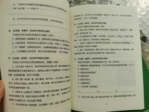 《少年破万卷》全年订阅 大语文助学系列读本 商品图1