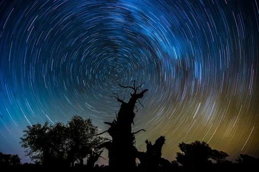 哈密大海道无人区（沙漠雅丹+星空）、伊吾古老胡杨林金秋8天摄影团 商品图6