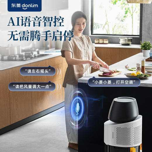 【好物推荐】东菱DL-1720移动厨房空调 商品图0