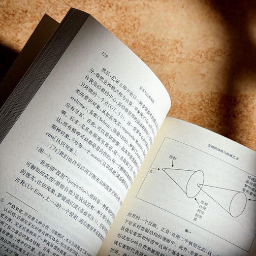 尼采与古典传统 西方传统经典与解释 尼采注疏集 哲学研究 商品图9