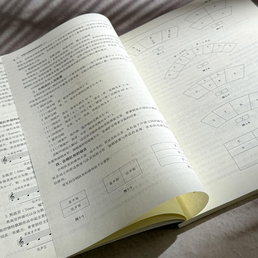 合唱与合唱指挥普修教程 上下册 高等院校音乐通用教材 商品图8