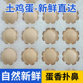鸟得喜  富硒初生蛋