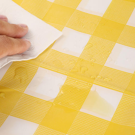 freego「加厚防水无异味」一次性野餐垫 / 防潮垫/ 桌布/ 帐篷坐垫 户外露营草坪沙滩 商品图1