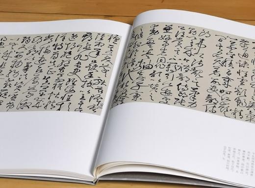 《陆抑非书法选集》，软精装，12开，陆抑非著，李鸣编，浙江人民美术出版社2015年一版一印，119页，定价160，售价46元。 商品图8