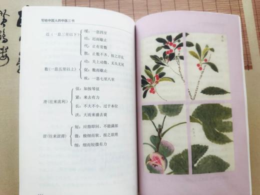 4折包邮《写给中国人的国医三书》+《写给中国人的中医三书》（全6册）， 《国医三书》（全3册）赠：《八段锦导图》， 《中医三书》（全3册）赠：中草药导图和二十四导引修真图各一张。 商品图6