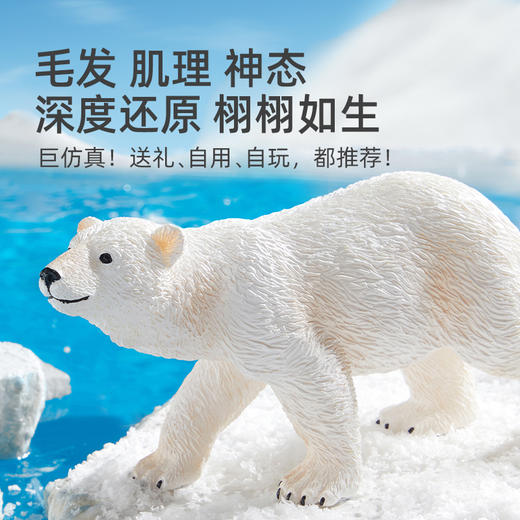 【丸丫专属】mideer弥鹿动物模型儿童实心仿真玩具早教套装 商品图2