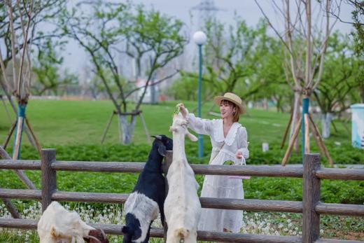 年终钜惠❗️【龙泉驿欢乐田园】单人39元/双人69元/三人99元……提前2小时购买生效 商品图5