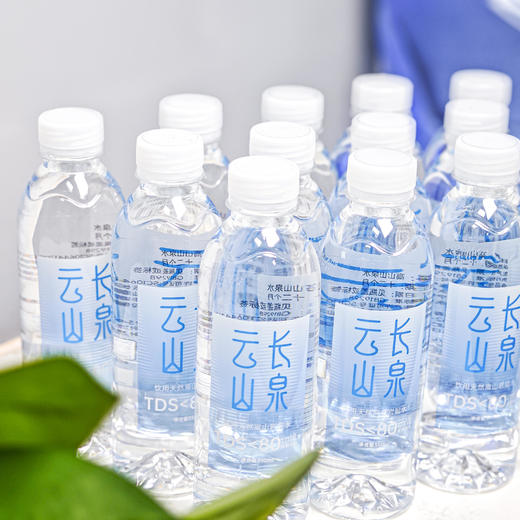 【吃断】阳春活水山泉一键到家！云长山泉350ML瓶装水（24瓶）36元抢购，限前100份 商品图3