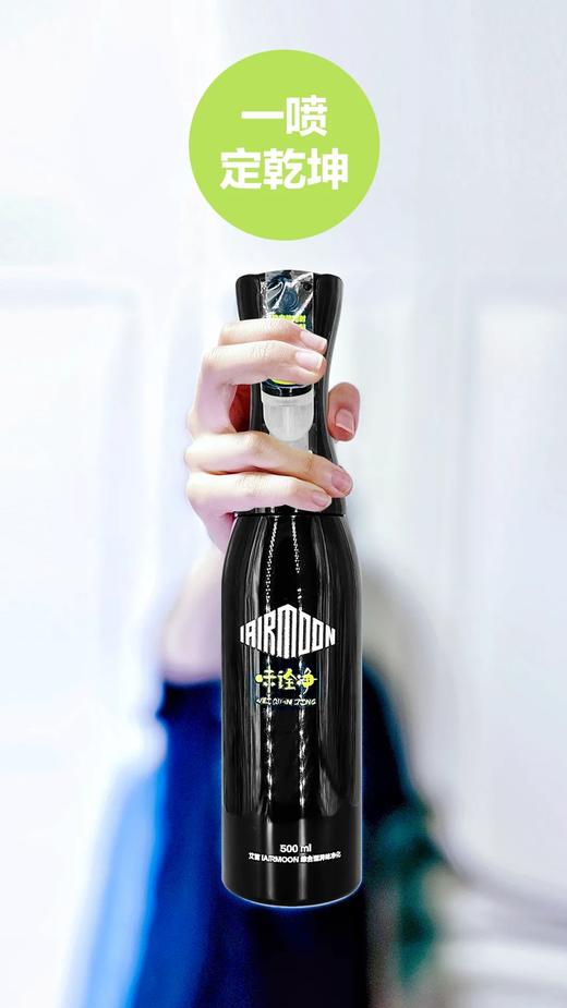 艾苜IAIRMOON味诠净|黑金刚 &白月光|民用版日常生活异味净化装(定制产品不退不换) 商品图0