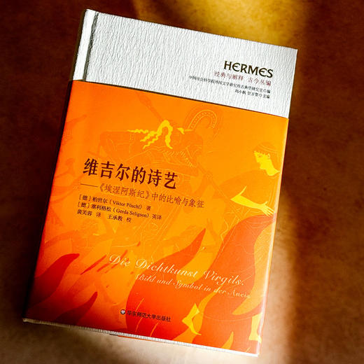 维吉尔的诗艺 《埃涅阿斯纪》中的比喻与象征 经典与解释 古今丛编 商品图5