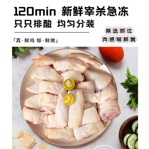 喜辉 海南椰子鸡火锅套餐 商品图3