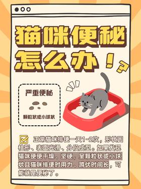 猫咪便秘💩是常见的肠胃问题