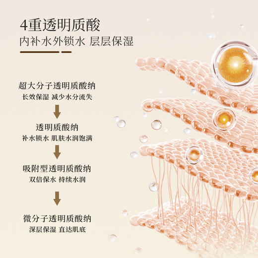 【若初】胡庆余堂灵芝抚纹焕颜精华液紧致抗皱舒缓补水保湿精华露 商品图3