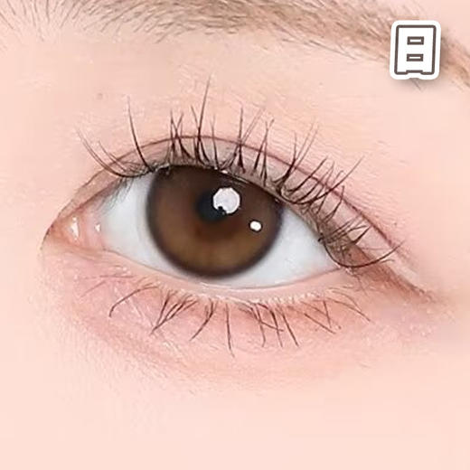 #CD20 蛋黄仔 棕【10片装】国产精品 / 14.2mm日抛 商品图0