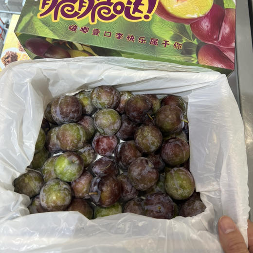 四川高山蜜李（3斤装） 商品图0