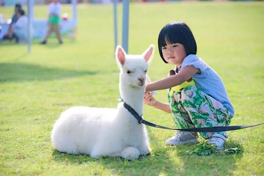 年终钜惠❗️【龙泉驿欢乐田园】单人39元/双人69元/三人99元……提前2小时购买生效 商品图4