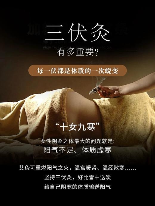 善坤缘大号 穴位灸（塑料盒艾烛）纸盒金艾贴 商品图12