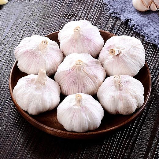 【蒜香十足，香脆好吃】山东金乡多瓣大蒜 1-9斤四六瓣蒜头 红皮蒜新鲜应蔬菜-QQ 商品图1