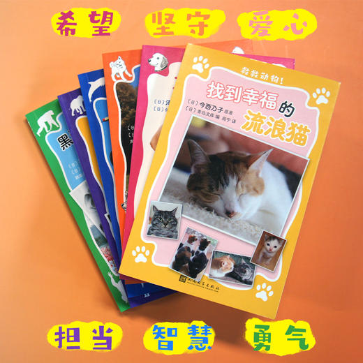 救救动物6册  不合格的导盲犬 找到幸福的流浪猫 没有大象的动物园 失去尾鳍的海豚富士 黑猩猩奇奇的冒险之旅 忠犬八公 商品图1