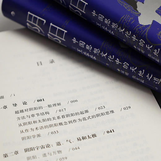  阴阳：中国思想文化中的天地之道 商品图4