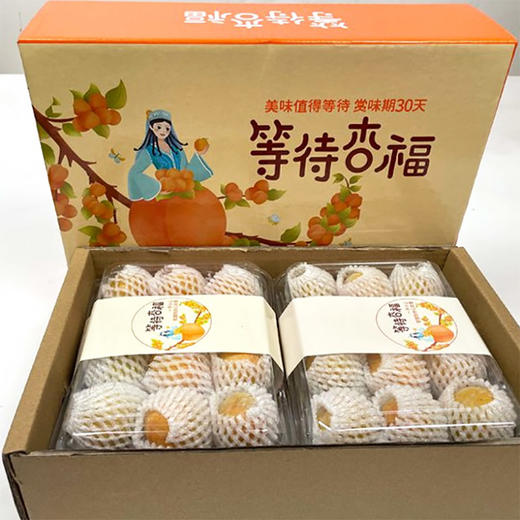 新疆阿克苏四团小红杏 净重2-4斤礼盒装 阳光小红杏 肉厚核小 自然清甜 商品图11