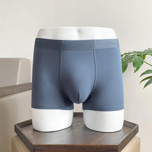 官网399！三条装内家同款80S莫代尔亲肤裸感无痕平角裤 轻薄透气桑蚕丝底裆男士内裤三条装 商品图2