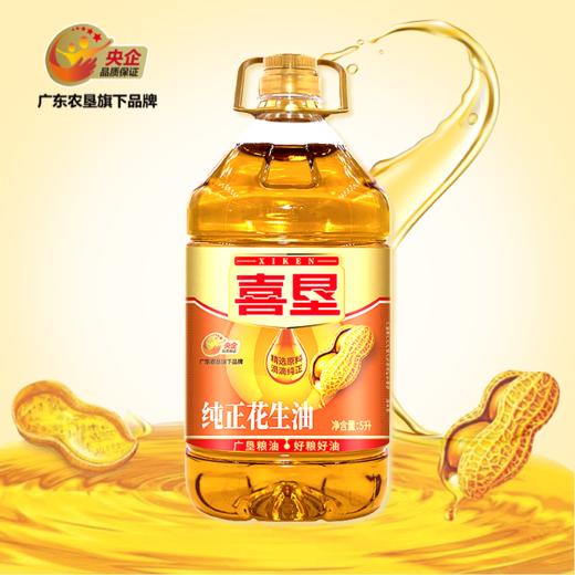 喜垦纯正花生油5L （纯正压榨家用烹饪健康食用油） 商品图0