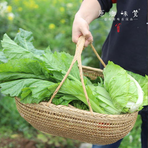 生态酸菜（成都仓库-顺丰快递）| 500g/袋，来自成都郫都【原乡农场，自产自销】 商品图7