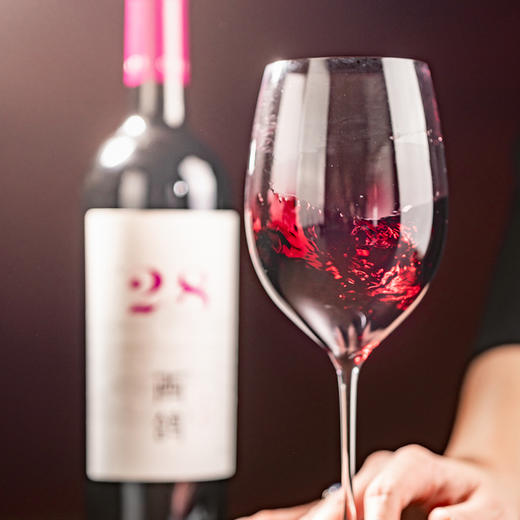 套餐组配-宁夏西鸽酒庄-N.28（马尔贝克）干红葡萄酒750ml单瓶装 商品图2